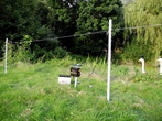 ELLOFENCE A120 12V-OS KÉSZÜLÉK product image 2