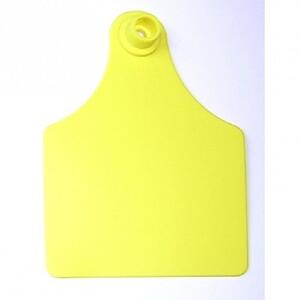 Füljelző ajánlatkérés