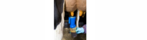 DeLaval Bimbófürösztő edény product image 1