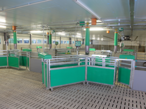 Intec Egyedi azonosításos kocaetető 60 kocára product image 3