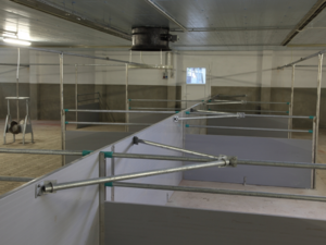Stallprofi Kocák elhelyezése product image 3