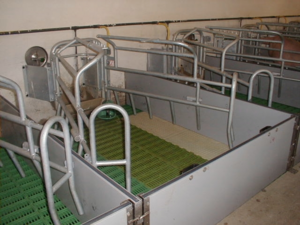 Stallprofi Ellető kutrica product image 3