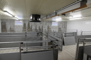 Stallprofi Hizlalda product image 1