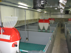 Stallprofi Malacnevelő product image 4