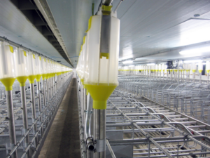 Malacetető ajánlatkérés