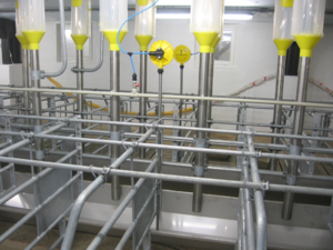 Stallprofi Etetés-itatás product image 3