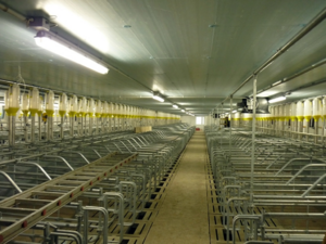 Stallprofi Vemhesítő product image 3