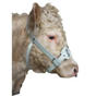 Horizont Bika kötőfék product image