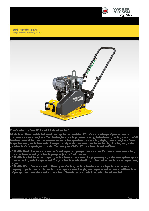 DPS.pdf