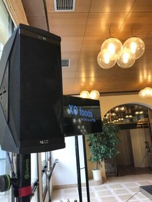 Nexo ID24 hangfal product image 1