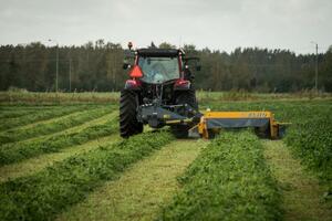 ELHO NM ütőujjas szársértővel product image 4