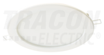 Tracon Electric LED-DLV-12NW product image