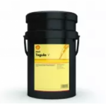 Shell Tegula V 32 product image