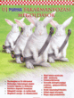 Purina® nyúl extra anya (R) takarmánykeverék product image