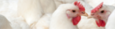 Agrifirm Aromabiotic Poultry product image