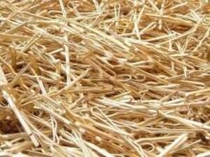 Sárgarezezés ajánlatkérés