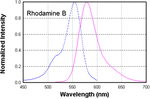 Basic Violet 10 Rodamin B, 500% product image 2