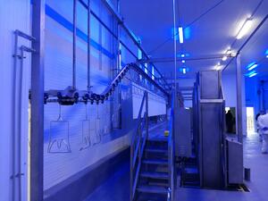 Moltech Élelmiszeripari feldolgozáshoz tervezett szállítópályák és komplett rendszerek  fém- vagy műanyaghevederes, görgős, illetve speciális megoldások. product image 8