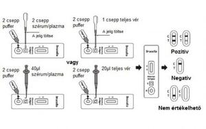 ACRO Biotech Inc. Brucella Abortusz Antigén tesztlap vér/szérum/plazma mintából, 25db product image 2