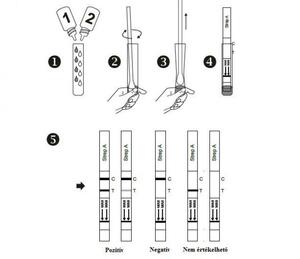 ACRO Biotech Inc. STREP-A tcsík és mintavevô,25x product image 2