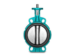 Interapp Desponia, Bianca, Elara product image 1