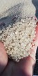 Lldpe REGRANULÁTUM, NATÚROS product image 1