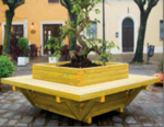 MACAGI QUADRA (394) product image