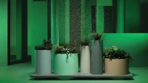 mmcité Polys product image 1