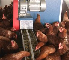 MJF Kaparóláncos etetők product image 2