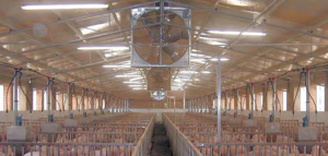 Mjf Kft. Korongos takarmánykietetés product image 2