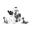 Euromex Oxion Inverso OX.2003-PLPH ICSI product image