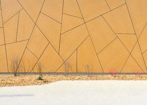 Plastrong MEG product image 1