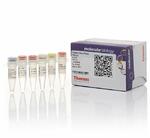 Thermo scientific Phusion blood direct product image