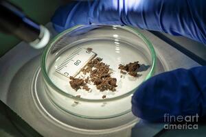 Ellenőrző talajvédelmi vizsgálat készítése ajánlatkérés