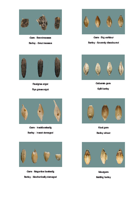Barley deviations (1).pdf