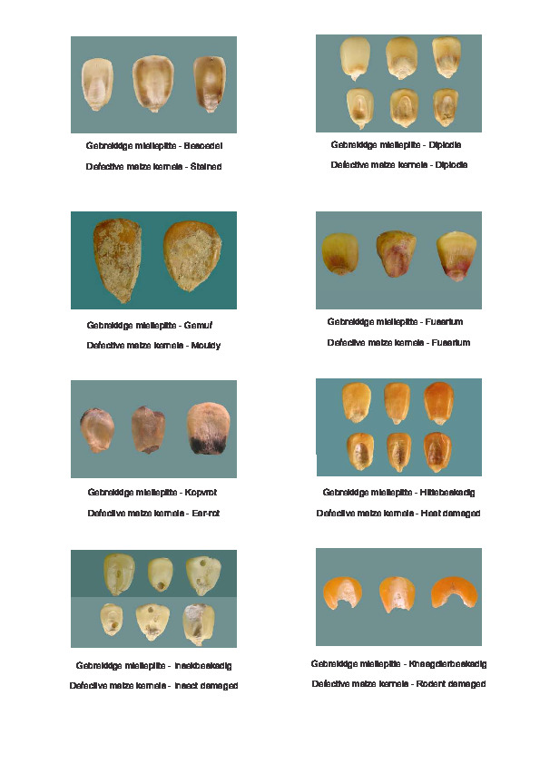 maize-deviations.pdf