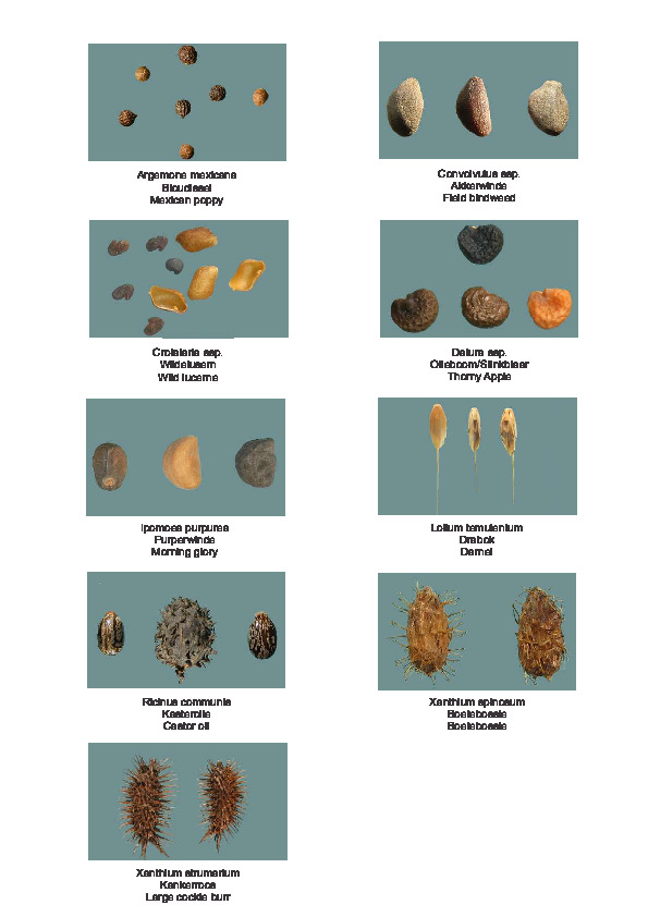 poisonous-seeds.pdf