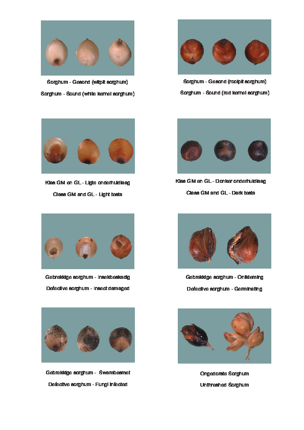 sorghum-deviations.pdf