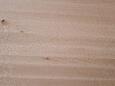 Oktogon-holz Bükk fehér átmenőlamellás bútorlap product image
