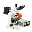 Bel engineering Fluo-3 product image 