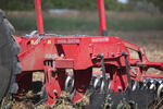 Magnus Grandis 7 product image