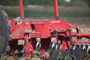 Magnus Grandis 7 product image 1