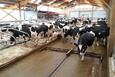 Dairypower Hidraulikus product image