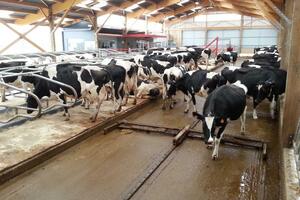 Dairypower Hidraulikus product image 1