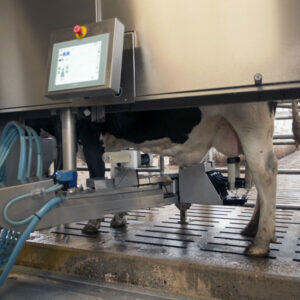 Fullwood Joz Merlin product image 1