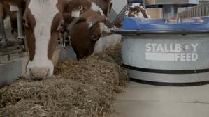 Hetwin stallboy Feed product image 1