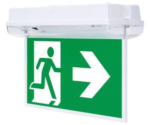 INTELIGHT ORION product image 4